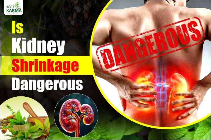 Is kidney shrinkage dangerous