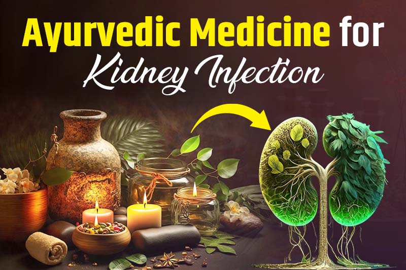 Ayurvedic Medicine for Kidney Infection