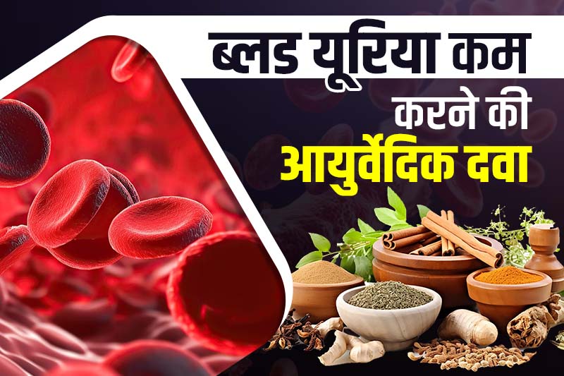 ब्लड यूरिया कम करने की आयुर्वेदिक दवा