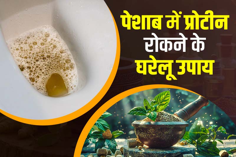पेशाब में प्रोटीन रोकने के घरेलू उपाय