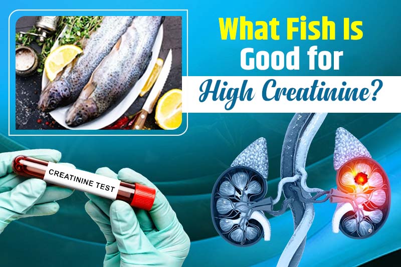What Fish Is Good for High Creatinine?