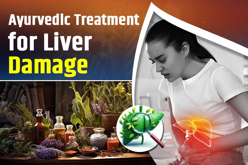 Ayurvedic Treatment for Liver Damage