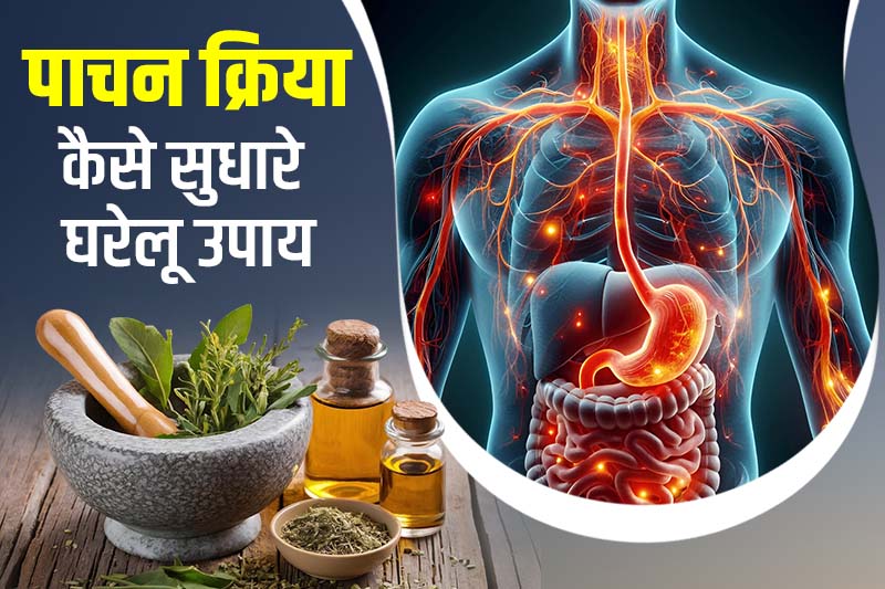 पाचन क्रिया कैसे सुधारे घरेलू उपाय