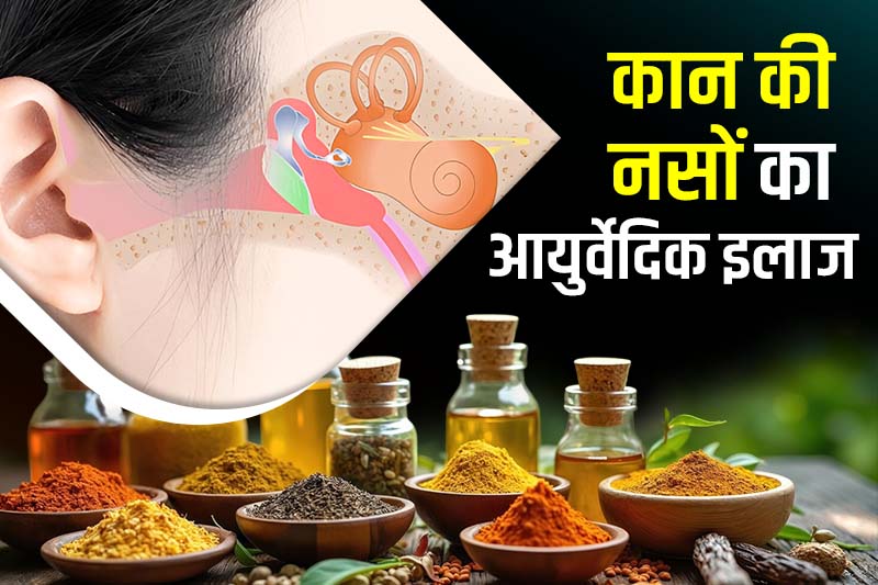 कान की नसों का आयुर्वेदिक इलाज
