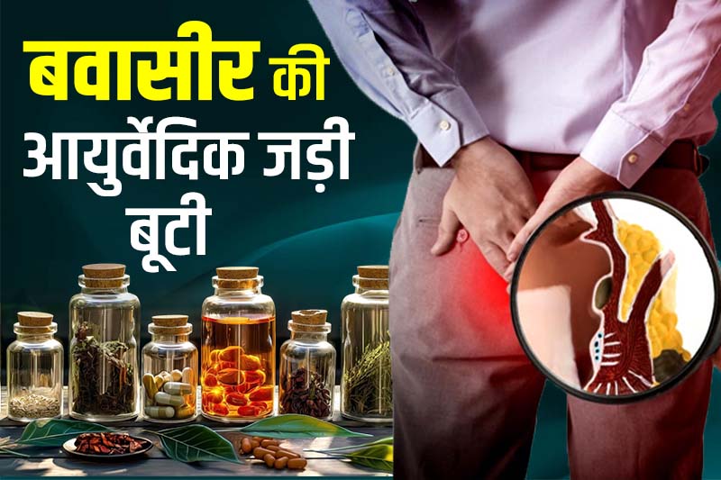 बवासीर की आयुर्वेदिक जड़ी बूटी 