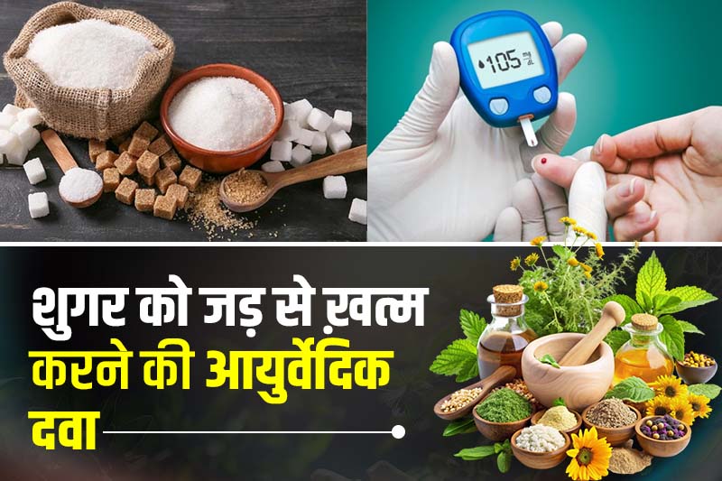 शुगर को जड़ से ख़त्म करने की आयुर्वेदिक दवा