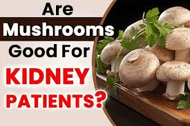 Are Mushrooms Good for Kidney Patients