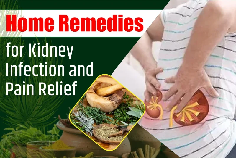 Home Remedies for Kidney Infection and Pain Relief