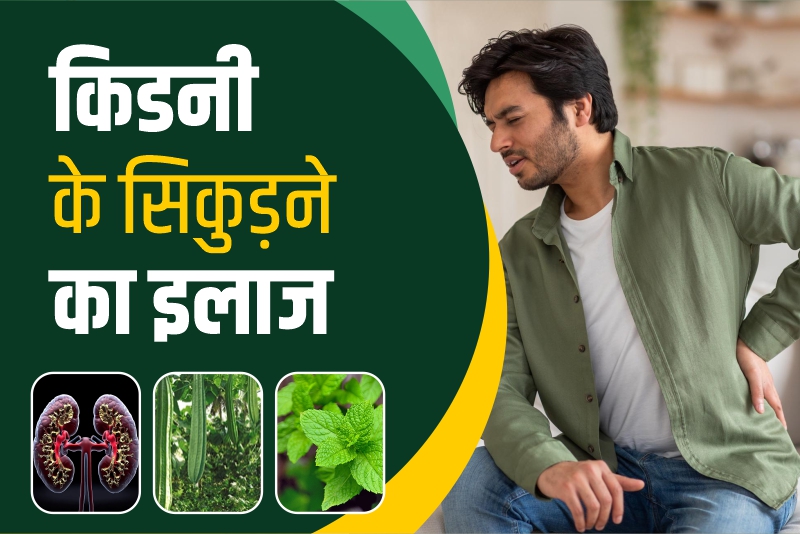 किडनी के सिकुड़ने का इलाज 