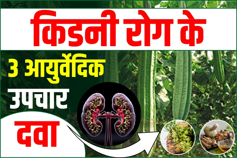 किडनी रोग के 3 आयुर्वेदिक उपचार दवा