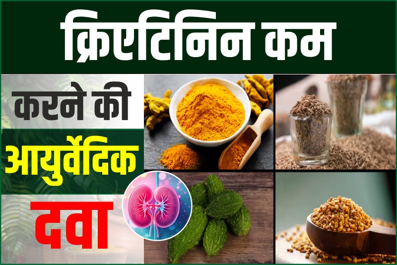 क्रिएटिनिन कम करने की आयुर्वेदिक दवा 