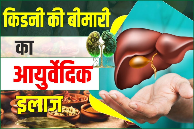 किडनी की बीमारी का आयुर्वेदिक इलाज