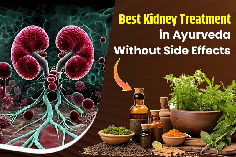 Best Kidney Treatment in Ayurveda Without Side Effects