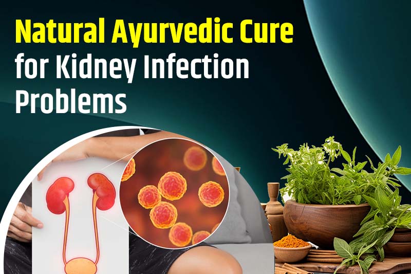 Natural Ayurvedic Cure for Kidney Infection Problems