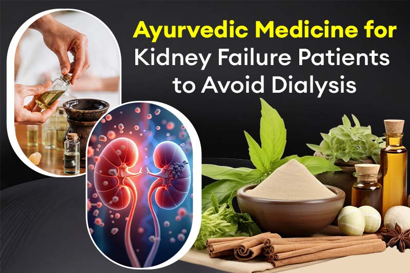 Ayurvedic Medicine for Kidney Failure Patients to Avoid Dialysis