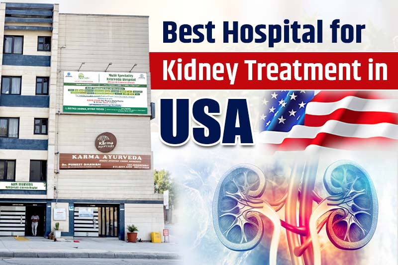 Ayurvedic Kidney Disease Treatment Center in Texas USA