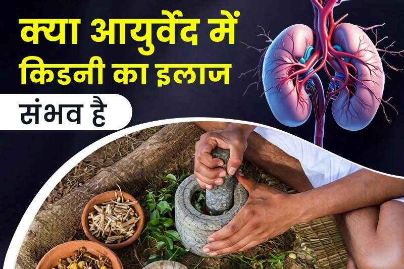 क्या आयुर्वेद में किडनी का इलाज संभव है