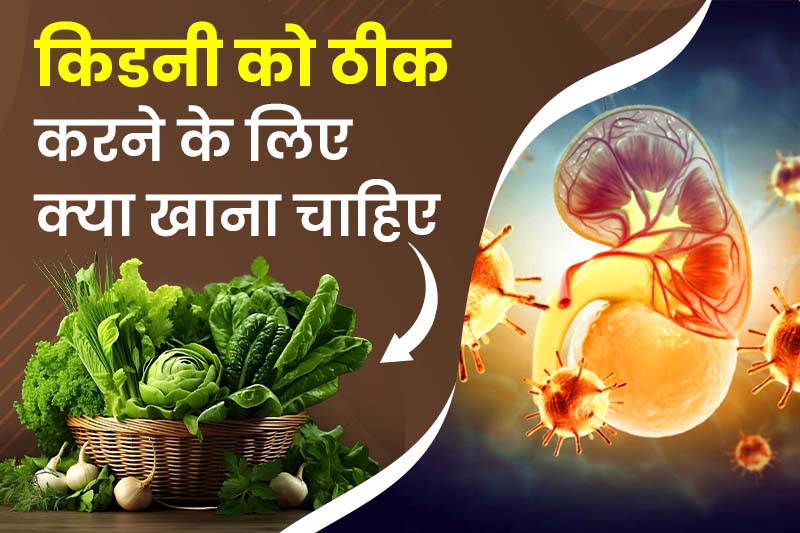 किडनी को ठीक करने के लिए क्या खाना चाहिए